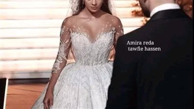 ولاء يحيي 