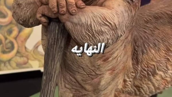 موقع أيام نيوز