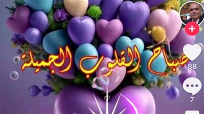 مطلوب عروسه لي حمايا 