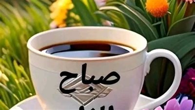 فاطمه عيد 