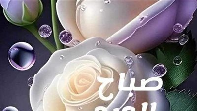 لادو غنيم 