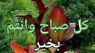 يارا محمد 