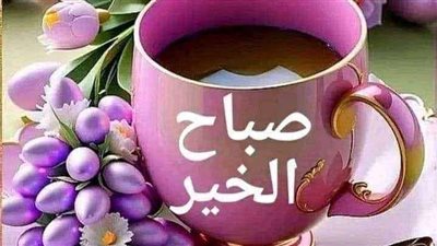 ابراهيم محمد 
