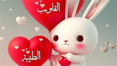 حكايه شاب 