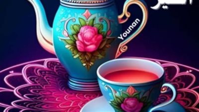 مصيب القمر بقلم زهرة الربيع