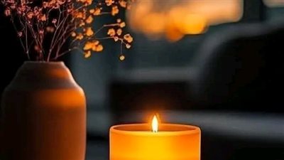 شيراز القاضي 