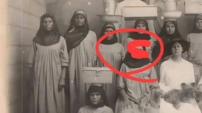 حكايه أصناف بقلم وليد يسري 