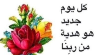 نور وحضرة الظابط